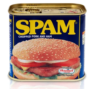 SPAM-can.webp